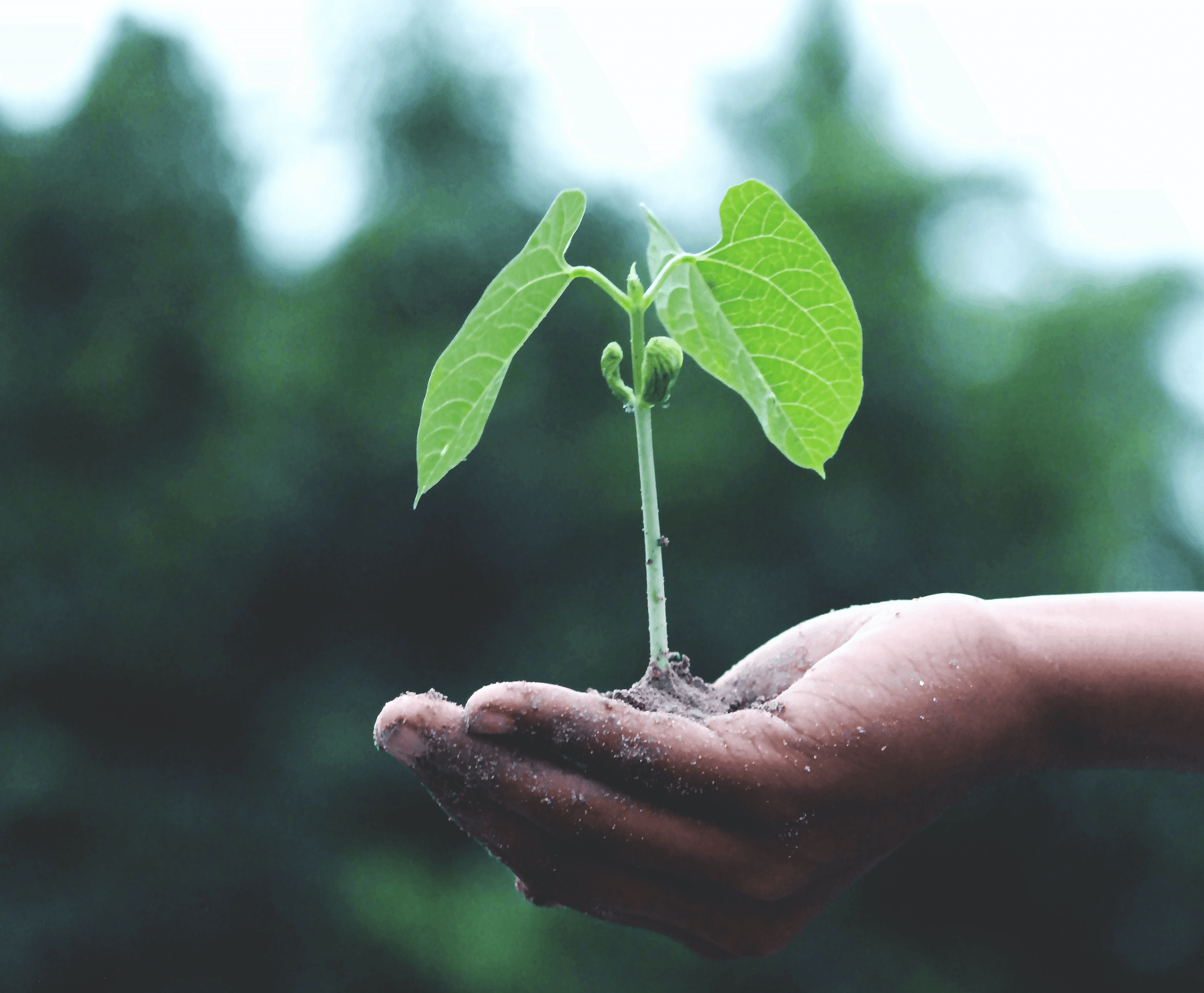 8 redenen om een coach in te schakelen